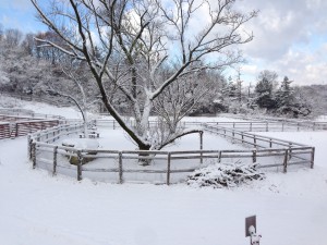 IMG_2168