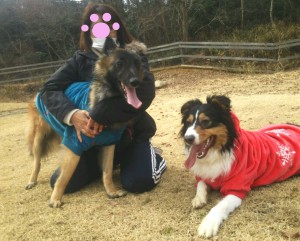 DSC_1078-2のコピー