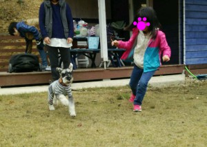 DSC_3942のコピー