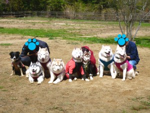P1000578のコピ-2